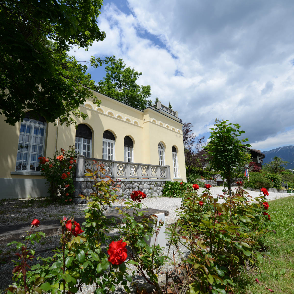 Traditional Pletna Boat