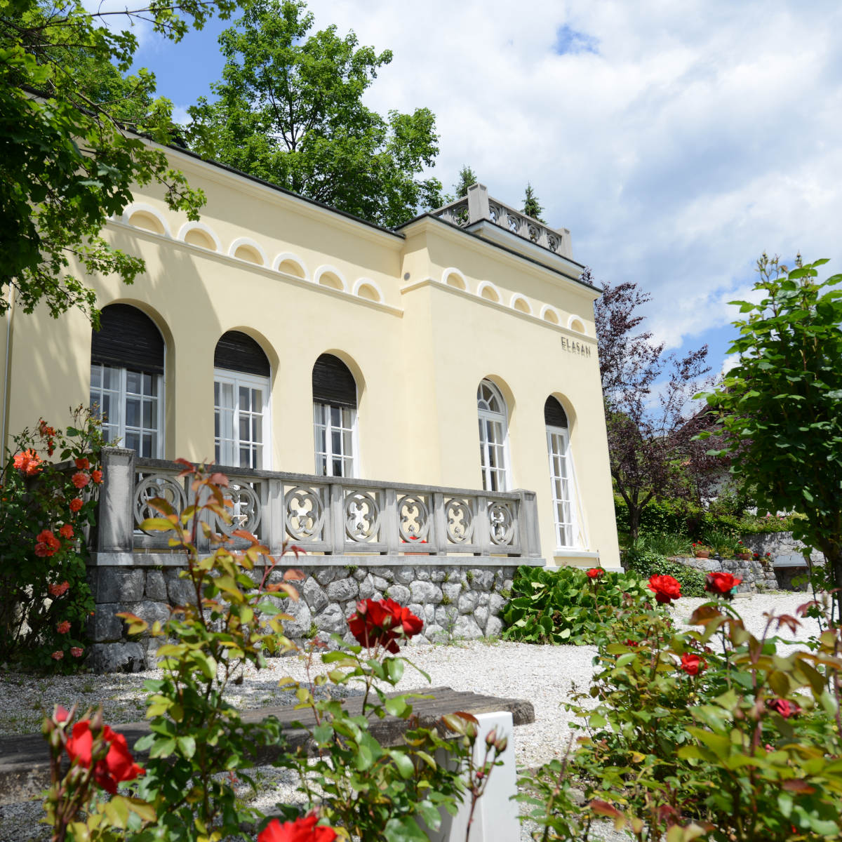 Summer Experience – 10 Days at Vila Elasan