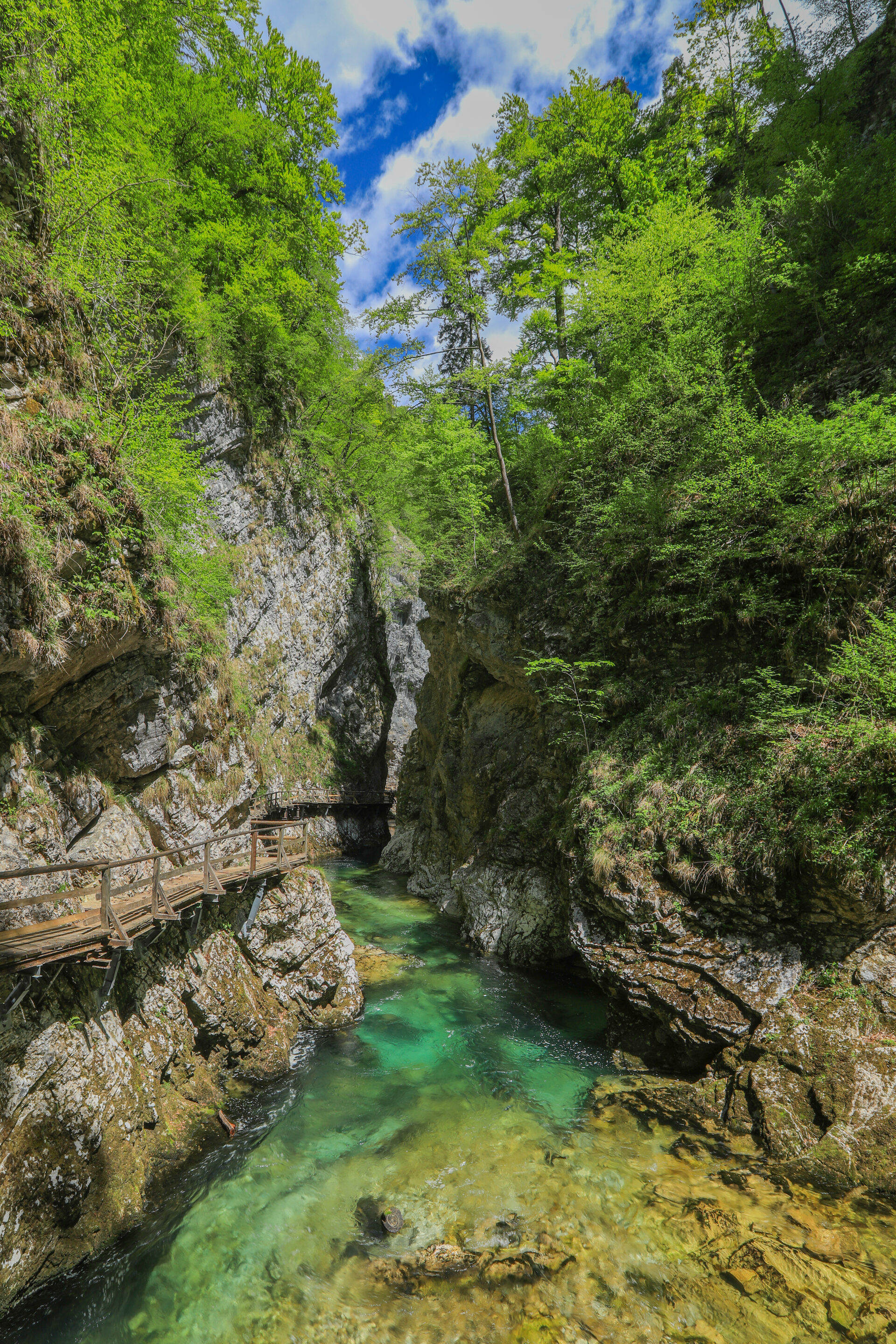Vintgar Gorge